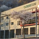 대성메디케어 이미지