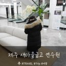 MG새마을금고 건너편 | 제주 새마을금고 연수원 호텔동 (10평) 3박 숙박후기