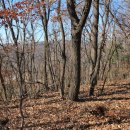 동성산성 이미지