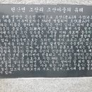 조산리 마을회관 앞