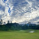 풍일로(풍천면) 이미지