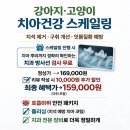 오복동물치과병원 네이버블로그