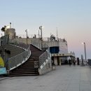 도동활어회센터