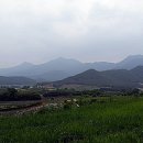 망산마을 이미지