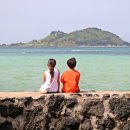 제주마중 판포 이미지