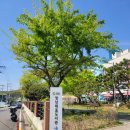 부곡도서관옆공원 | 장애인 자료실 예비맘라운지 임신 출산 육아 도서 웹툰 경남대표도서관 다녀온 솔직 후기