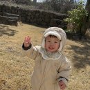 낙천리장 이미지