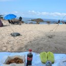 비에이치씨 평해점 이미지