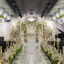 비어밸리 이미지