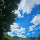 청송얼음골힐링민박 | “청송 얼음골 계곡 가족여행 후기) 여름 최고의 피서지에서 보낸 시원한 하루