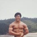 전파닭