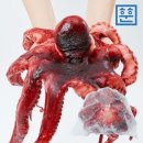 문어랑 쇼핑하우