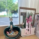 안산동 미용실 레이어드 컷+C컬 펌 유명한 곳 파슈 헤어