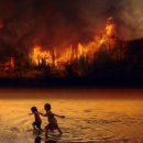 주)가이아 이미지