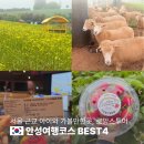 안성시티투어 | 서울 근교 아이와 가볼만한곳 실내 안성 여행 코스 BEST4 로망스투어