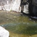 야호캠프 이미지