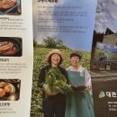 황금빛 목장 | 평창 맛집 양떼목장 대관령 초록고등어 평창본점