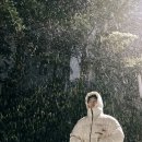폰&스토리 Daum카페