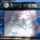 청소년수련원길 이미지