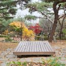 인창중앙공원(산책로) 이미지
