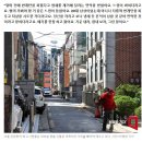 죽을라고...강아지 아플때 나오는 소리...다음날 뉴스기사 이미지