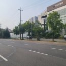 축항대로291번길 이미지