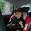 헤어 쥬키 네이버블로그