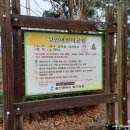 상안풋살구장 이미지