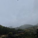 카페소라 이미지