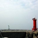 최남단식당 이미지