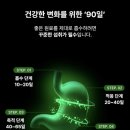백년마실 | 체해서 소화제 달고 살던 나.. 양배추 효능 찐으로 체감 중인 백년건강소 양배추스틱 후기 (50% 할인 링크)
