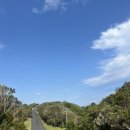 노티농장 이미지