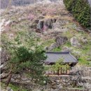 산유화관광농원 이미지