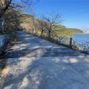 전주 두꺼비 이미지