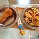 하우스홀드 이미지