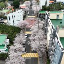 효돈동-4 이미지