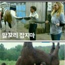 드립 Daum카페