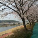 회야강변 이미지