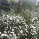 김제북초등학교 이미지