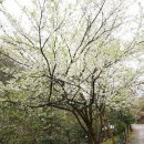 민속한의원 이미지