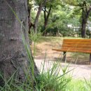 소향공원 이미지