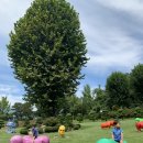 화원동산 동물원 이미지