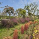 신안요양병원 | [전남/해남] 황금연휴 맞이 떠난 어머니 고향 방문 후기(2025.10.05.~10.06.)