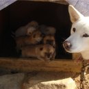 모퉁이펜션 이미지