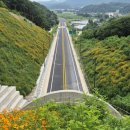 국도59호선 이미지