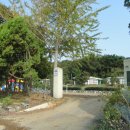 서도초등학교 볼음분교 네이버블로그