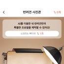 와우동물병원 이미지