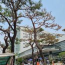 남구로약국 이미지