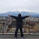 스테이(stay) | 일본 시즈오카 가와구치코 렌터카 여행 후지산뷰 호텔 하오스테이(HAO STAY) 이용후기