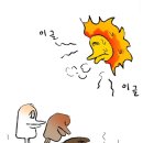 신태향 | 🙂‍↕️